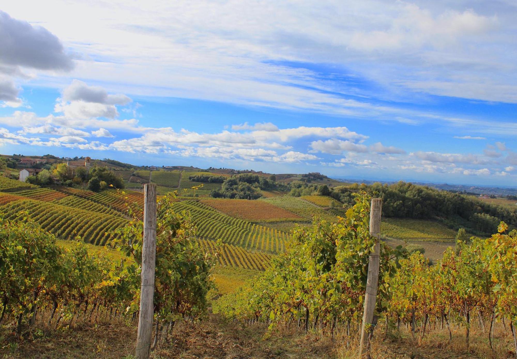 Amazing Langhe And Monferrato | House With Garden Villa Calamandrana Екстериор снимка